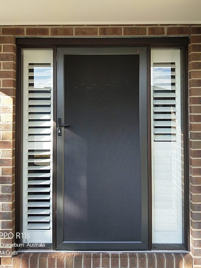 Plain Mesh Security Doors